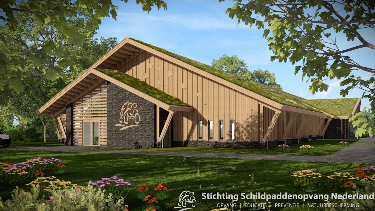 VIDEO: Wel of geen schildpaddenresort in Twijzelerheide voor 50.000 schildpadden?: 