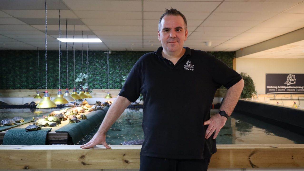 VIDEO: Schildpaddenreservaat in Twijzelerheide van de baan, nieuwe locatie in beeld: 