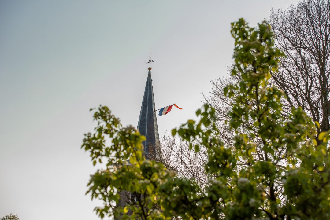 Voor de Koning: driekleur in top