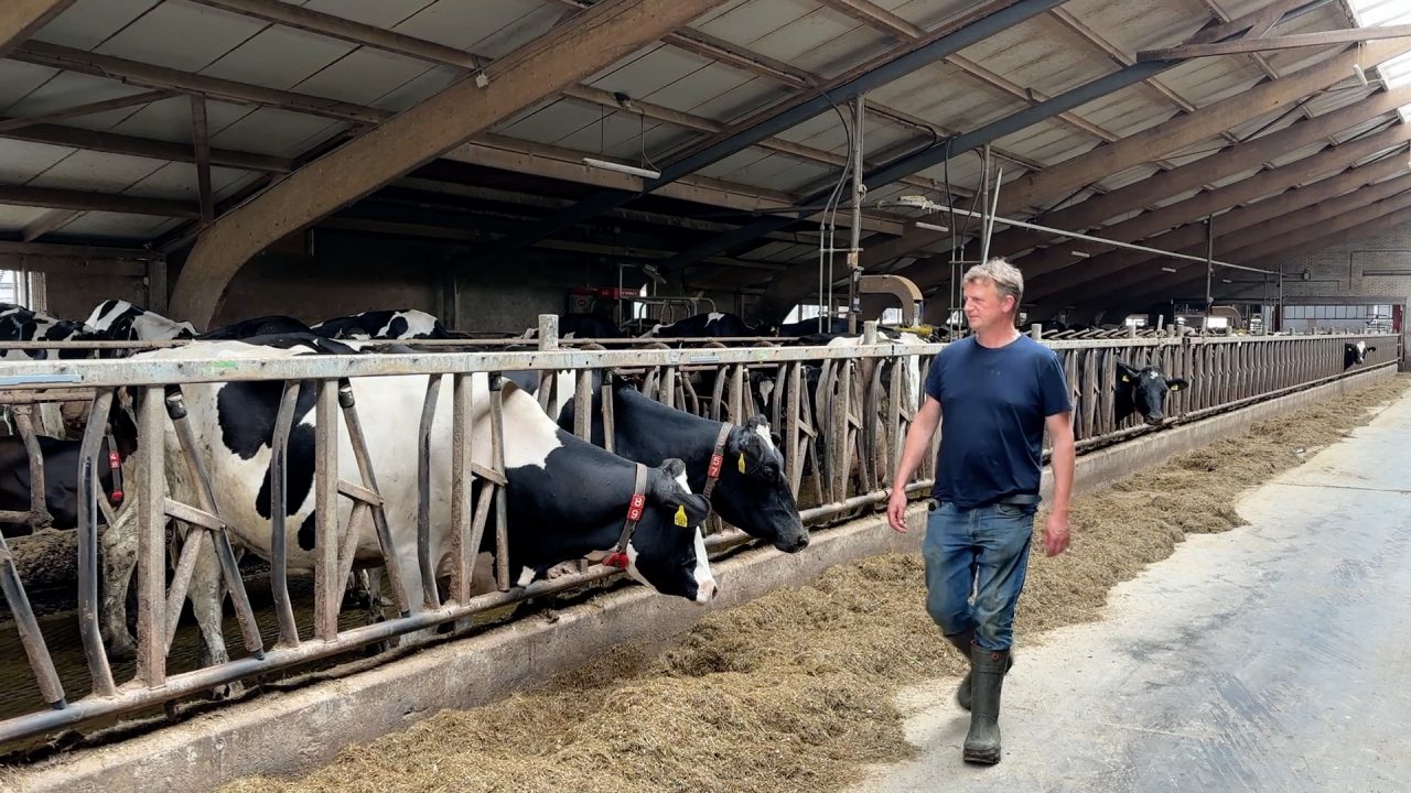Einde aan dubbele kosten door mestkeuken op boerenerf: 