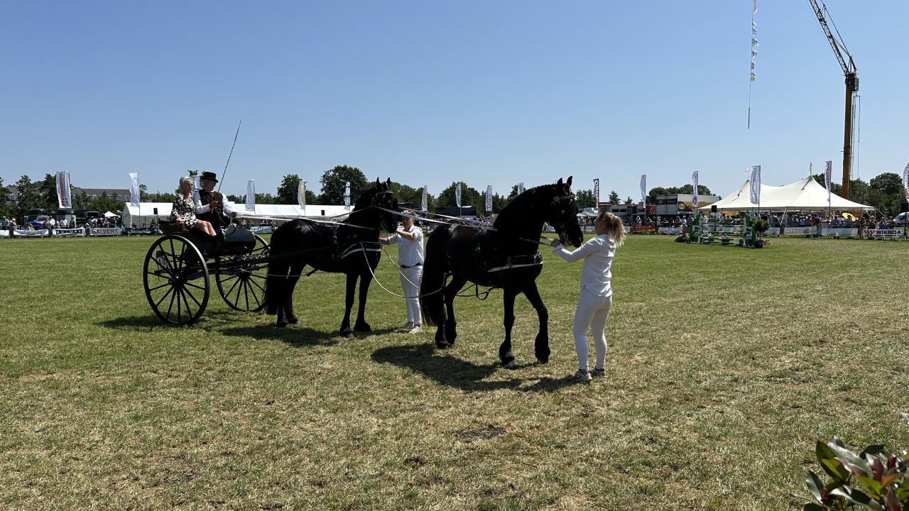 Zomerse editie van het Concours Hippique Drogeham: "Suver better as dat wy ferwachte hiene"