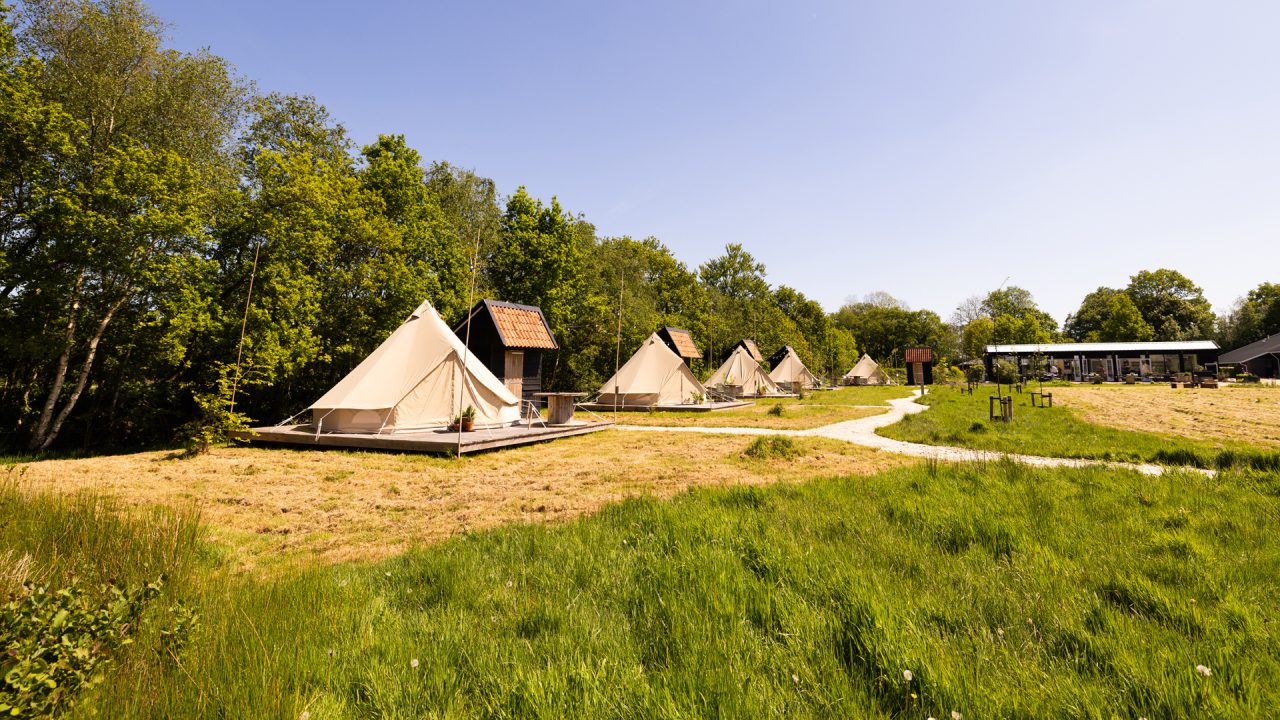 Laatste kans deze zomer: gratis workation voor ondernemers in Noardeast-Fryslân