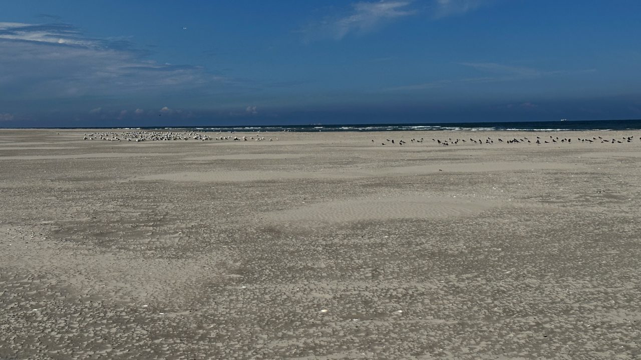 KNRM start weer met strandbewaking op Ameland