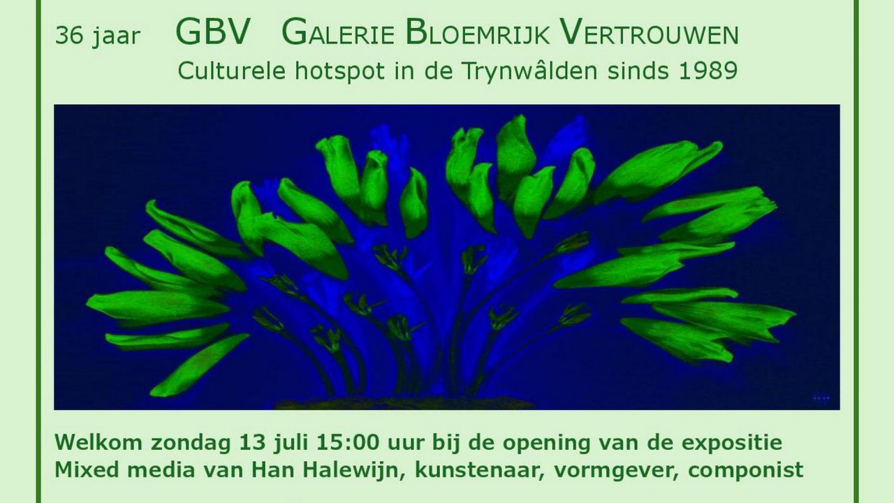 Opening van de expositie Mixed media van Han Halewijn in GBV