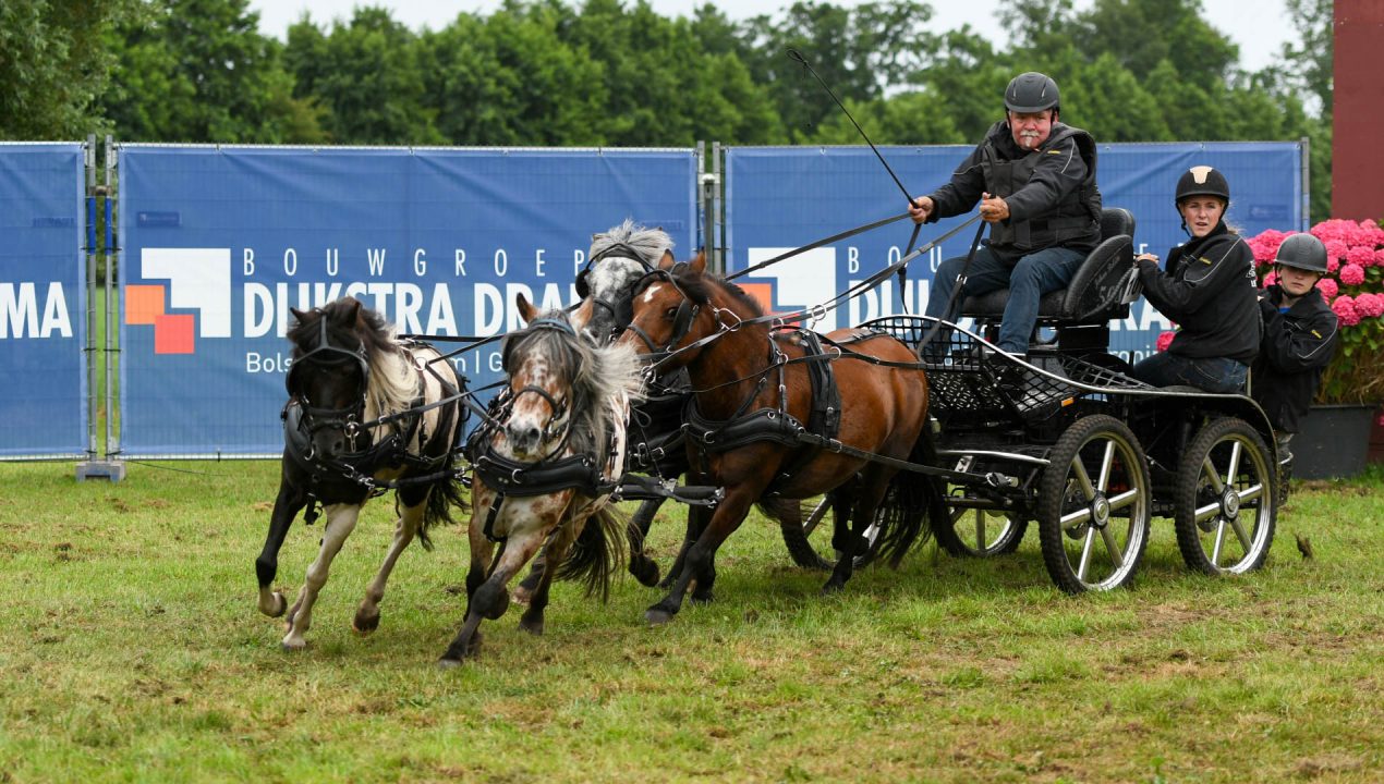 Honderden deelnemers, honderden vrijwilligers: Paardendagen is een succes
