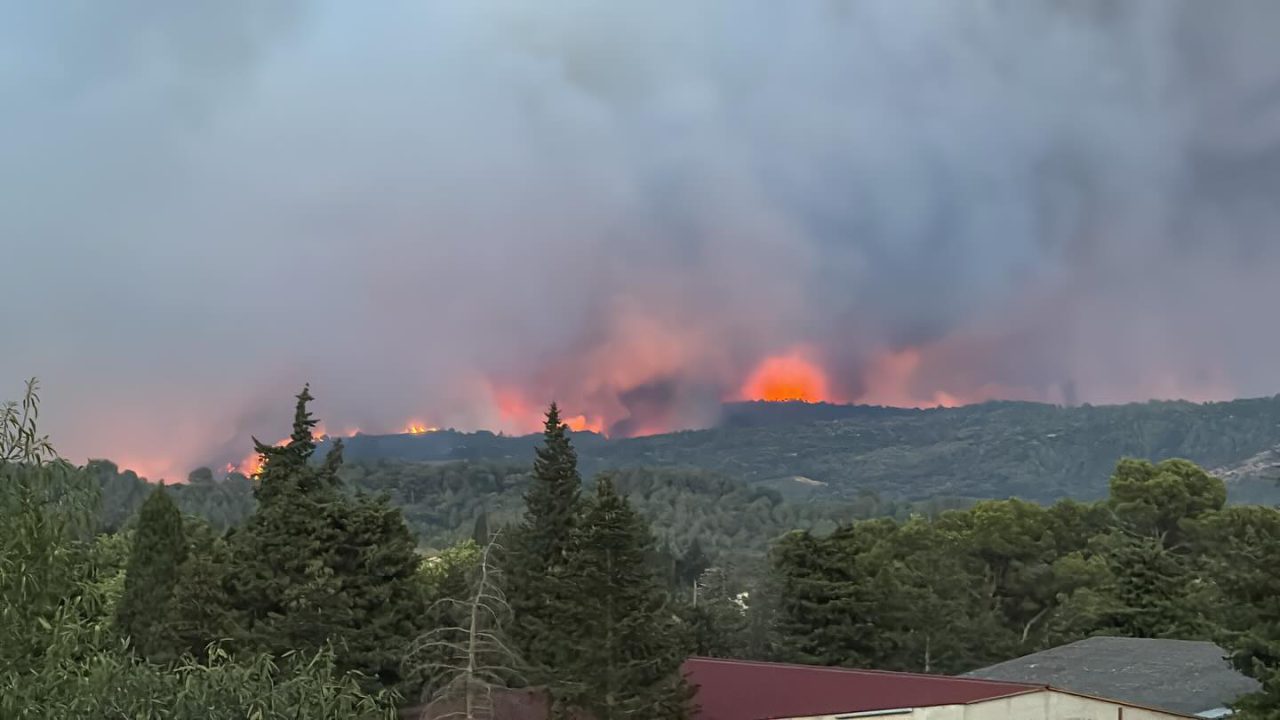 Bosbrand in Zuid-Frankrijk raakt wijnboeren en agrariërs hard: Melle uit Buitenpost start hulpactie