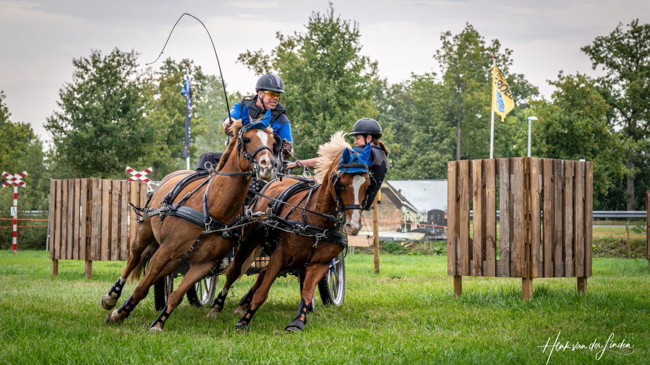 Sumarreheide decor van zevende Paardenmarathon