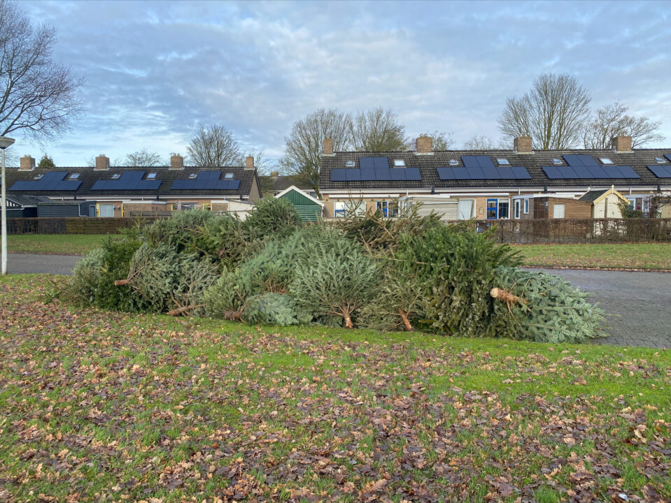 Dorpen in Dantumadiel zamelen kerstbomen in