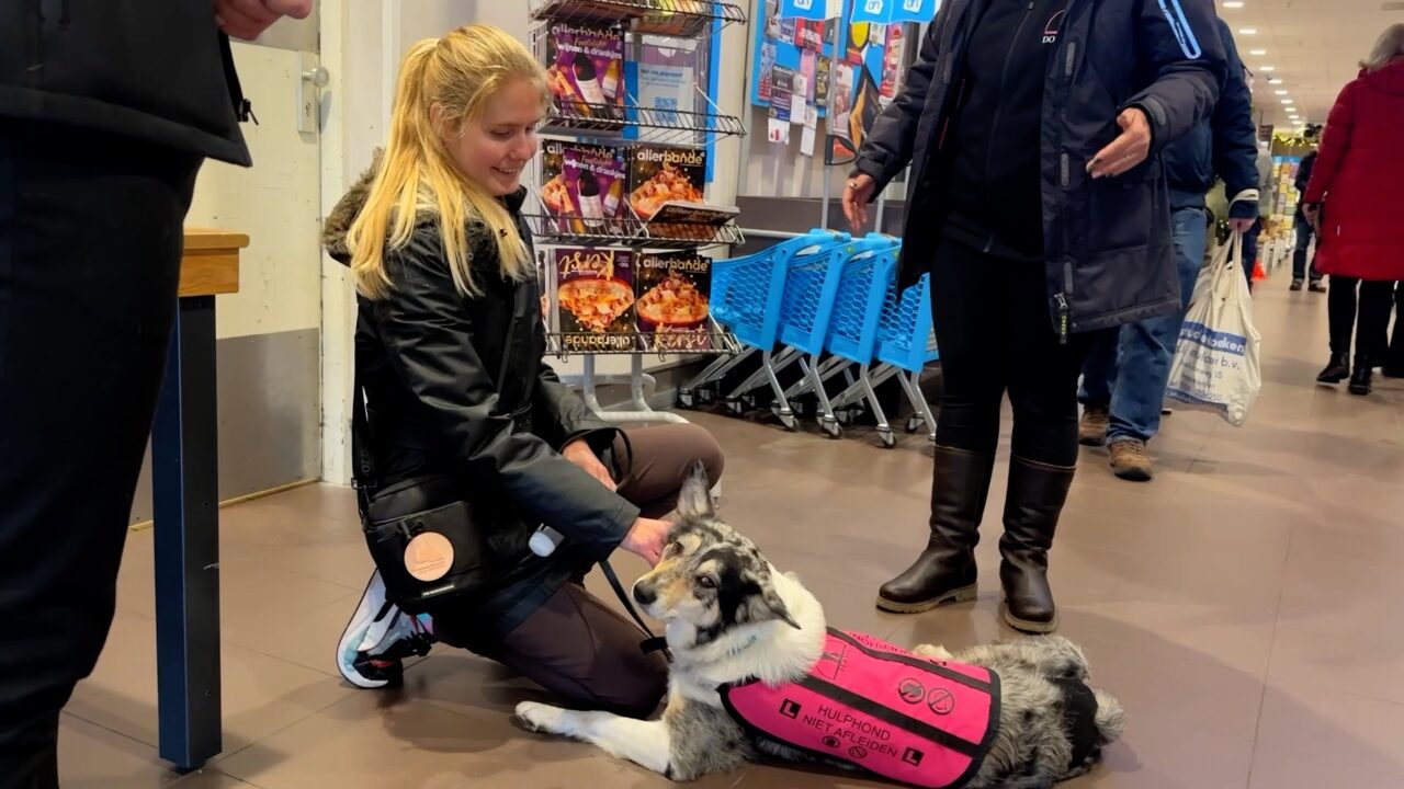 Marit Dijkstra kan eindelijk beginnen met hulphondentraining: ''Ik kin it eins net útdrukke''