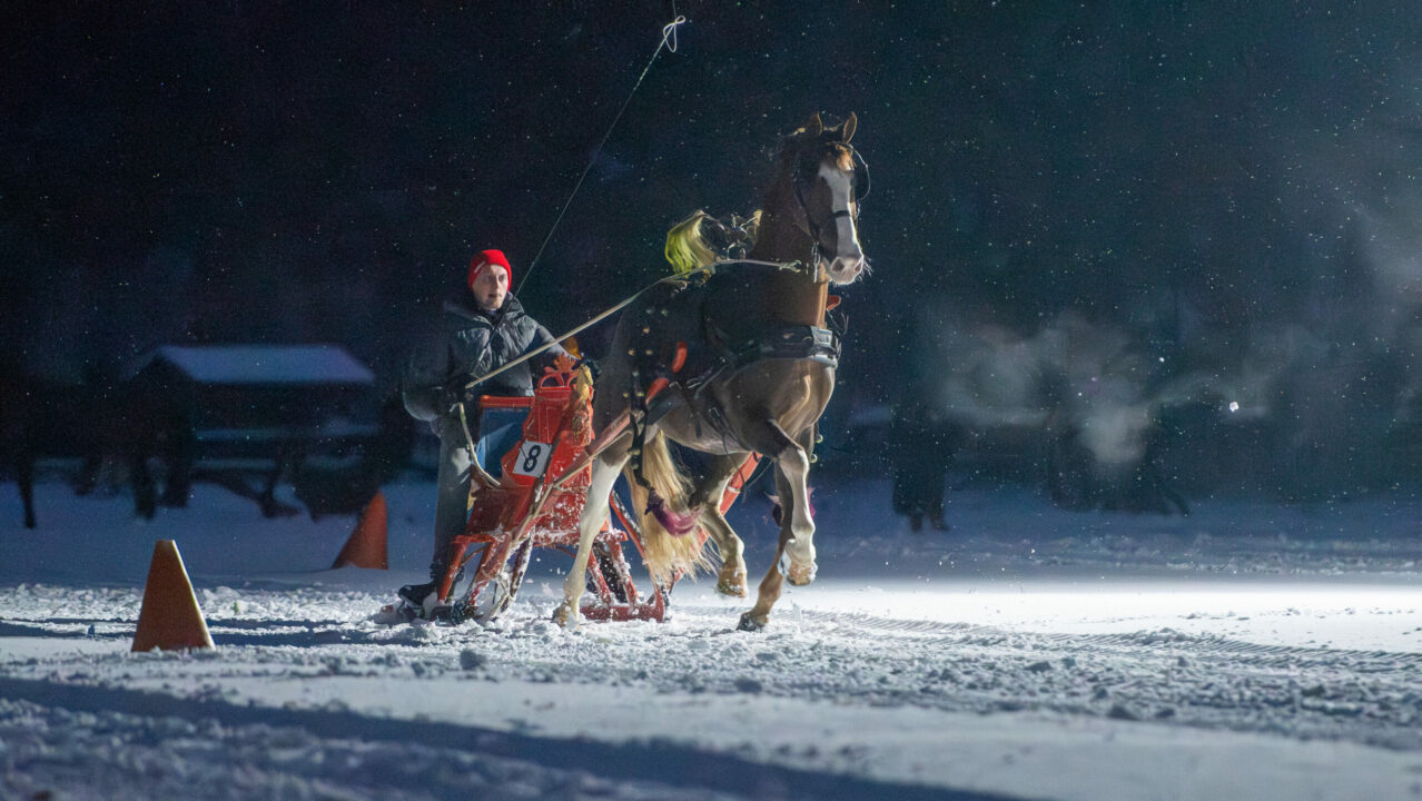 Unieke arrensleeënwedstrijd in Burgum: 
