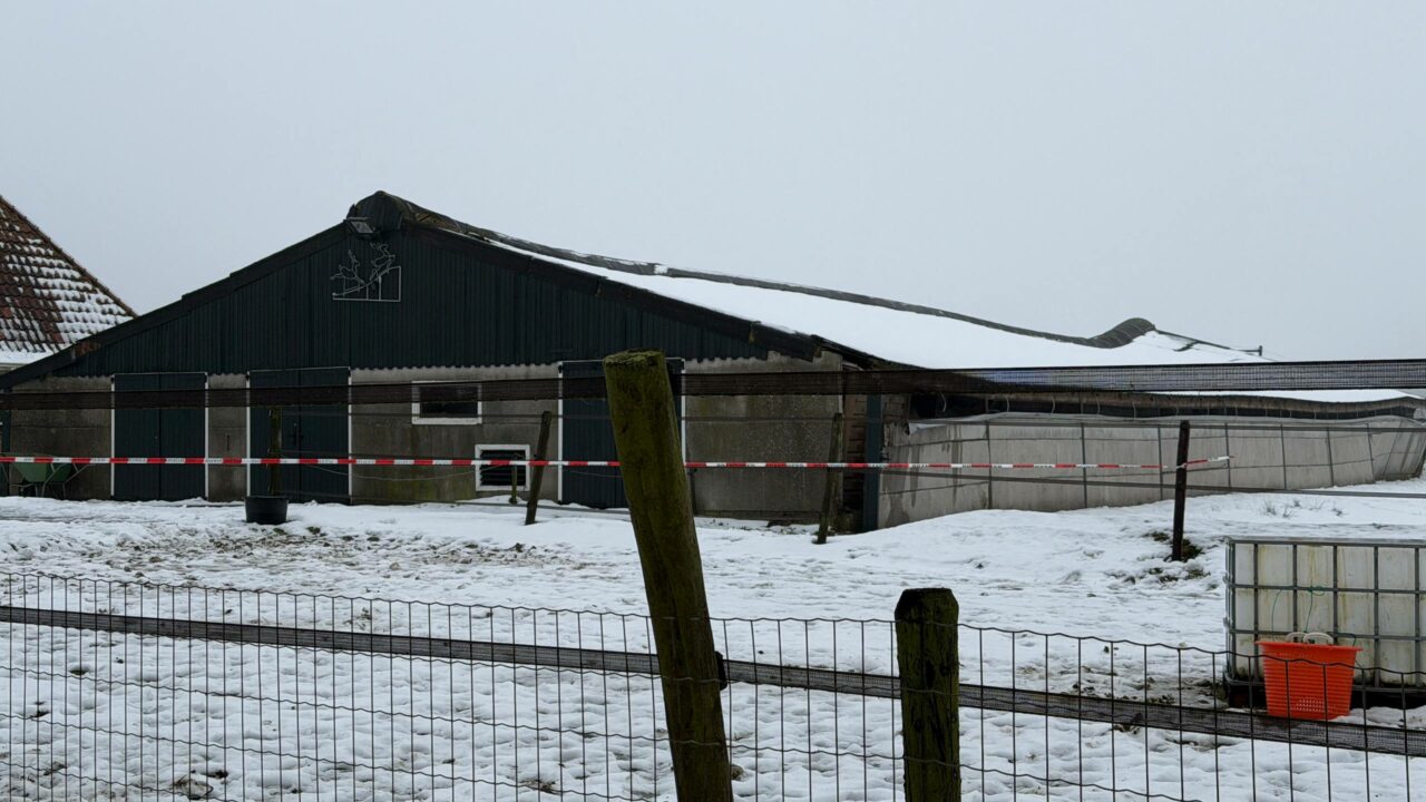 Dak dreigt in te storten aan Nieuwlandsweg bij Ryptsjerk