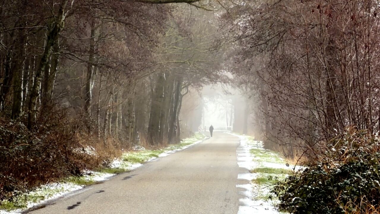 Al sinds 1998 in gesprek, maar nog steeds geen fietspad tussen Tytsjerk en Hurdegaryp