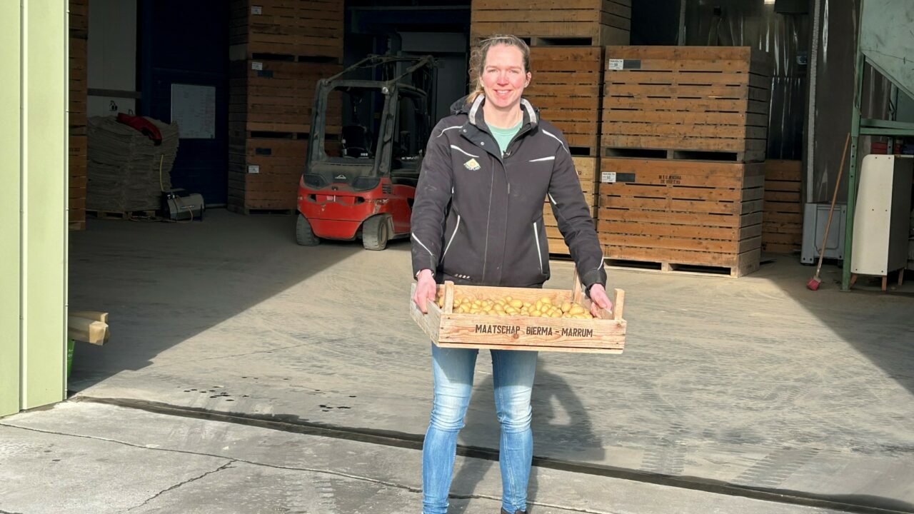 Jonge boeren Maurits, Gelbrich en Yke zetten de schouders eronder: 