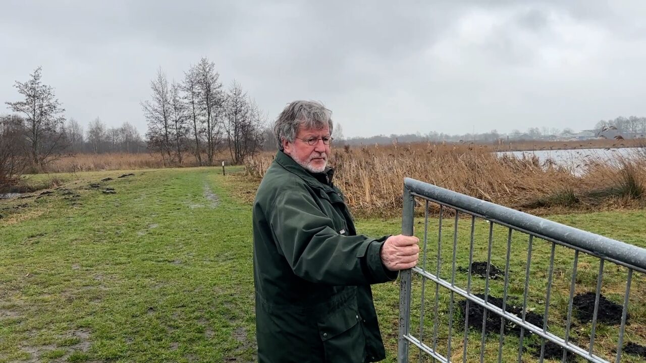 Al twee eieren in zeearendnest Earnewâld: 