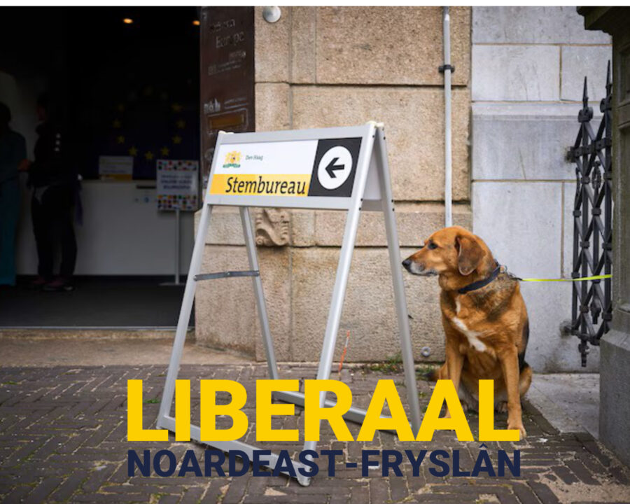 INGEZONDEN: Rechtse kiezer, laat Noardeast-Fryslân niet in de steek!