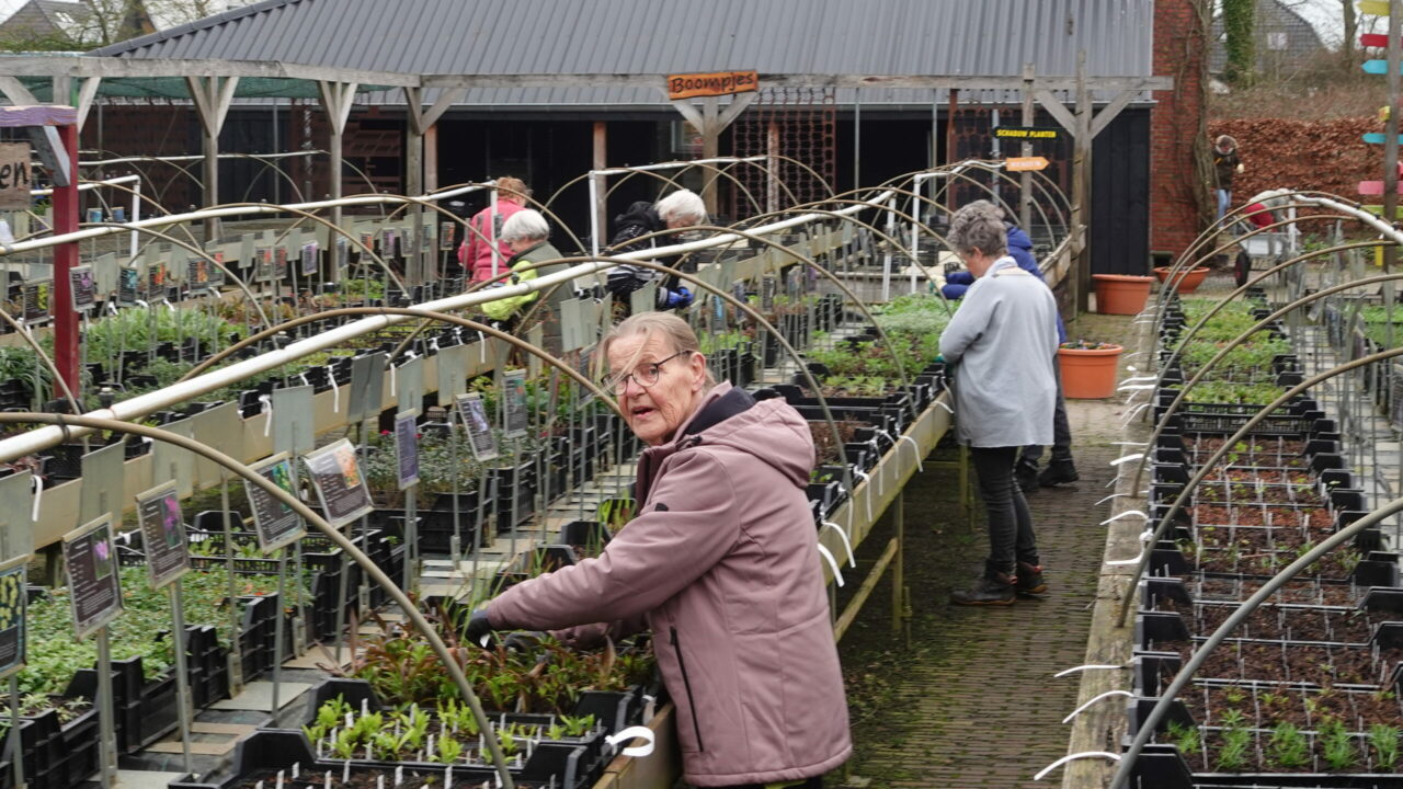 Vrijwilligers steken handen uit de mouwen tijdens NLdoet in Buitenpost