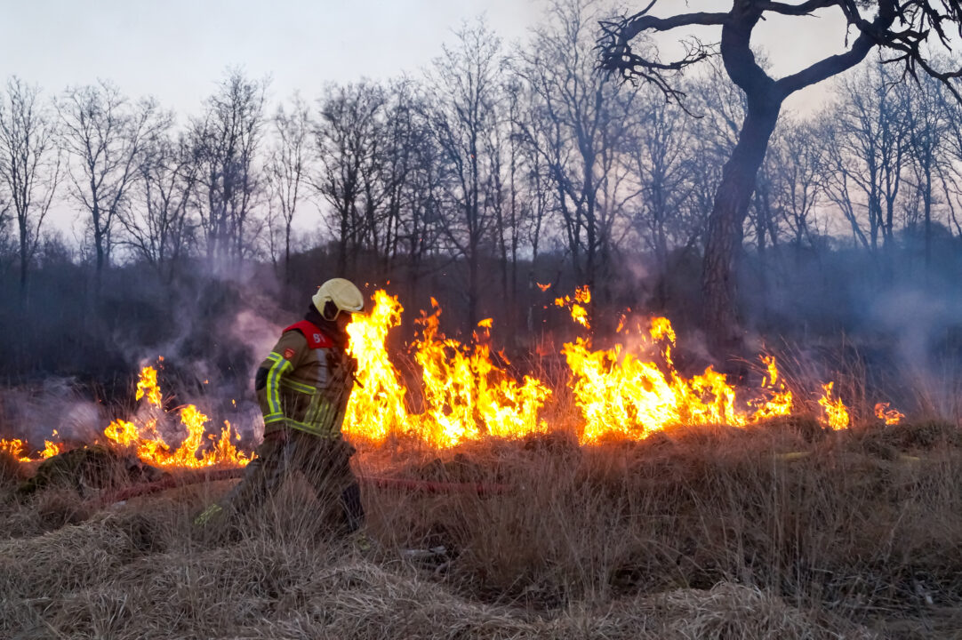 Politie doet onderzoek naar bosbrand Feankleaster: 