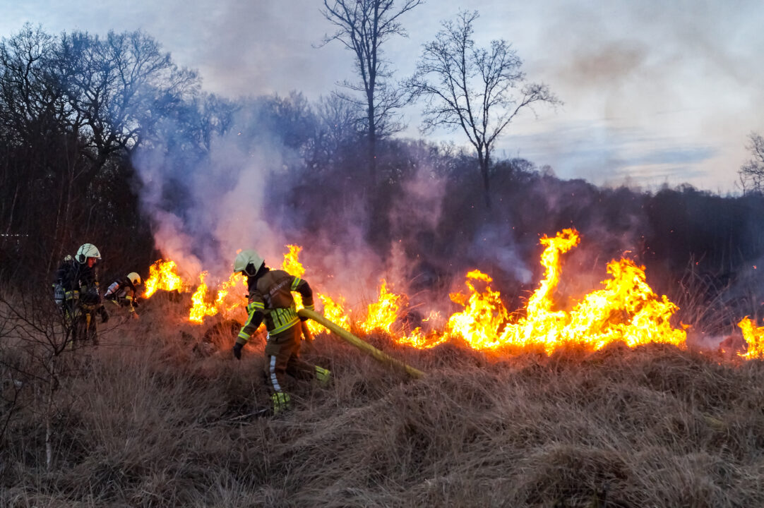 Bosbrand aan de Cecilialoane in Feankleaster