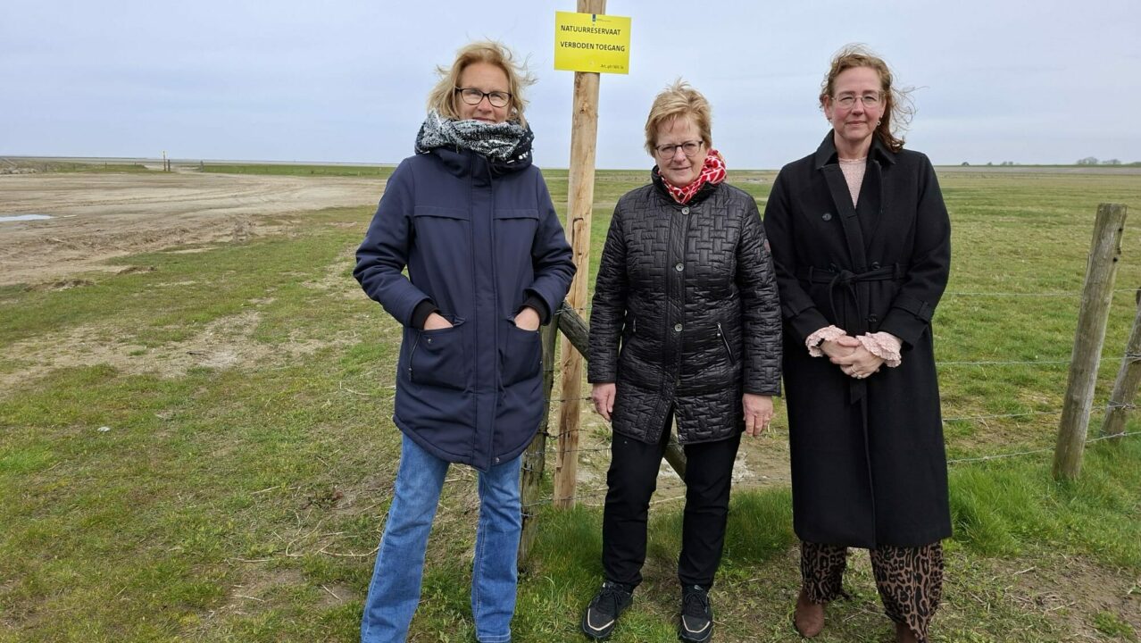 Ook gemeente niet vooraf geïnformeerd over afsluiting kwelders Wierum en Ternaard