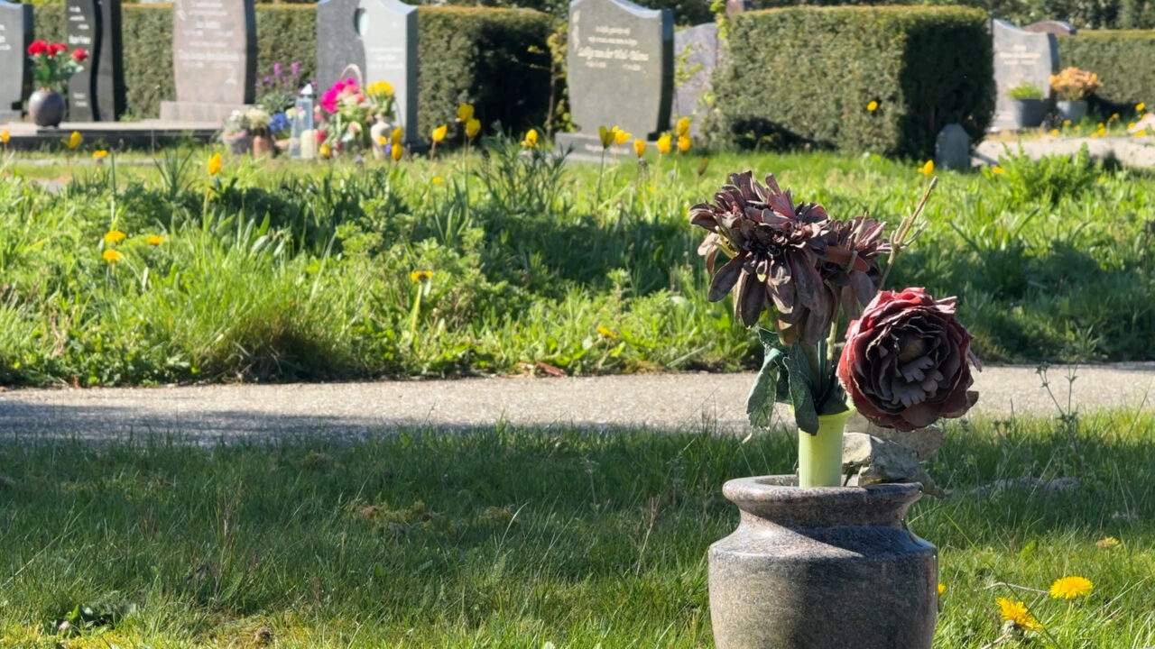 Uitbreiding Lindenhof Dokkum: 210 extra graven én een gedenkbos