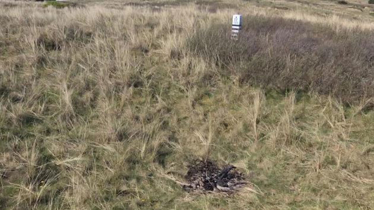 Duinbrandje op Ameland