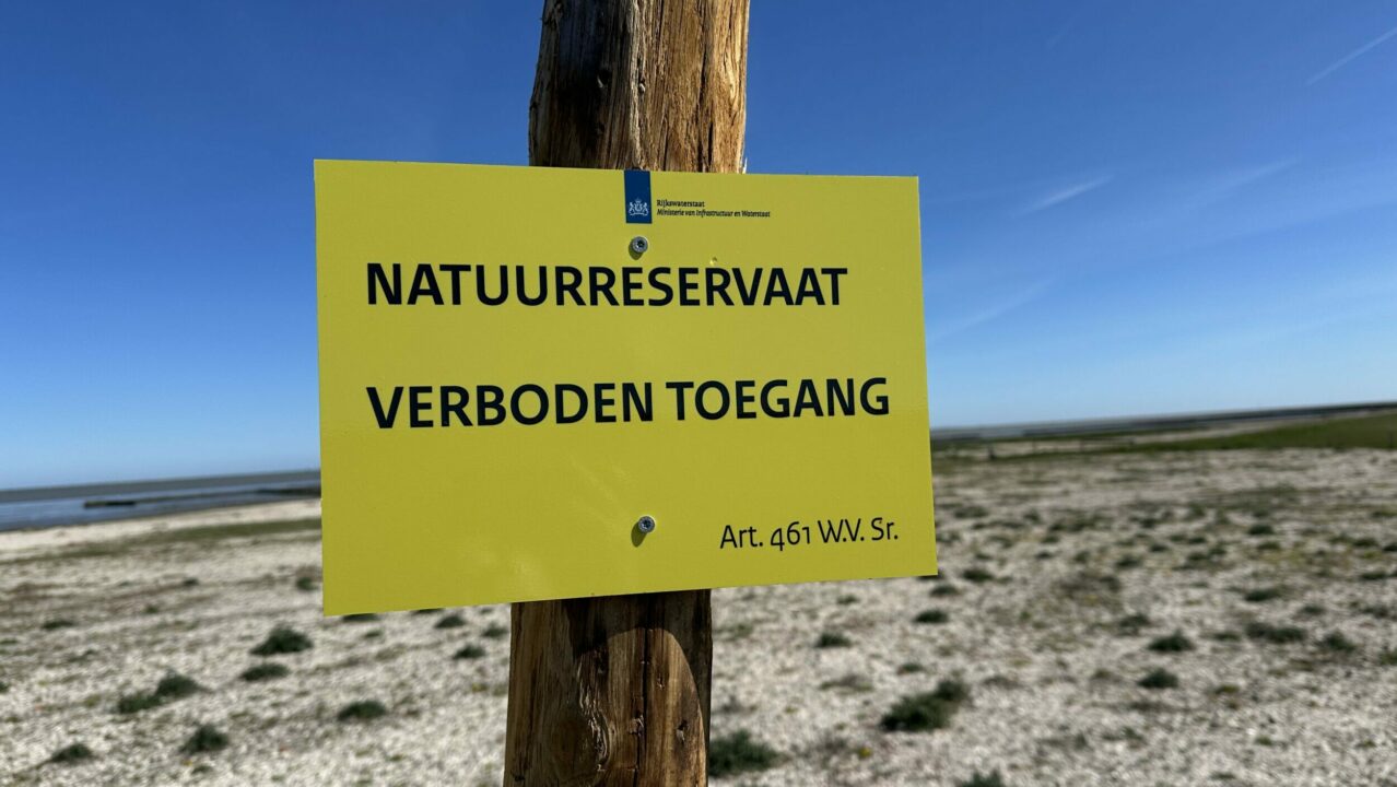 Kwelders bij Wierum en Ternaard weer open voor publiek