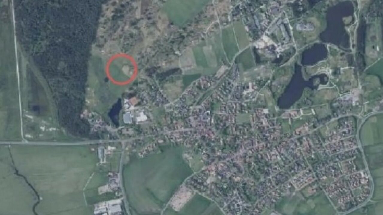 Geit aangevallen door een hond op Ameland, politie zoekt eigenaren