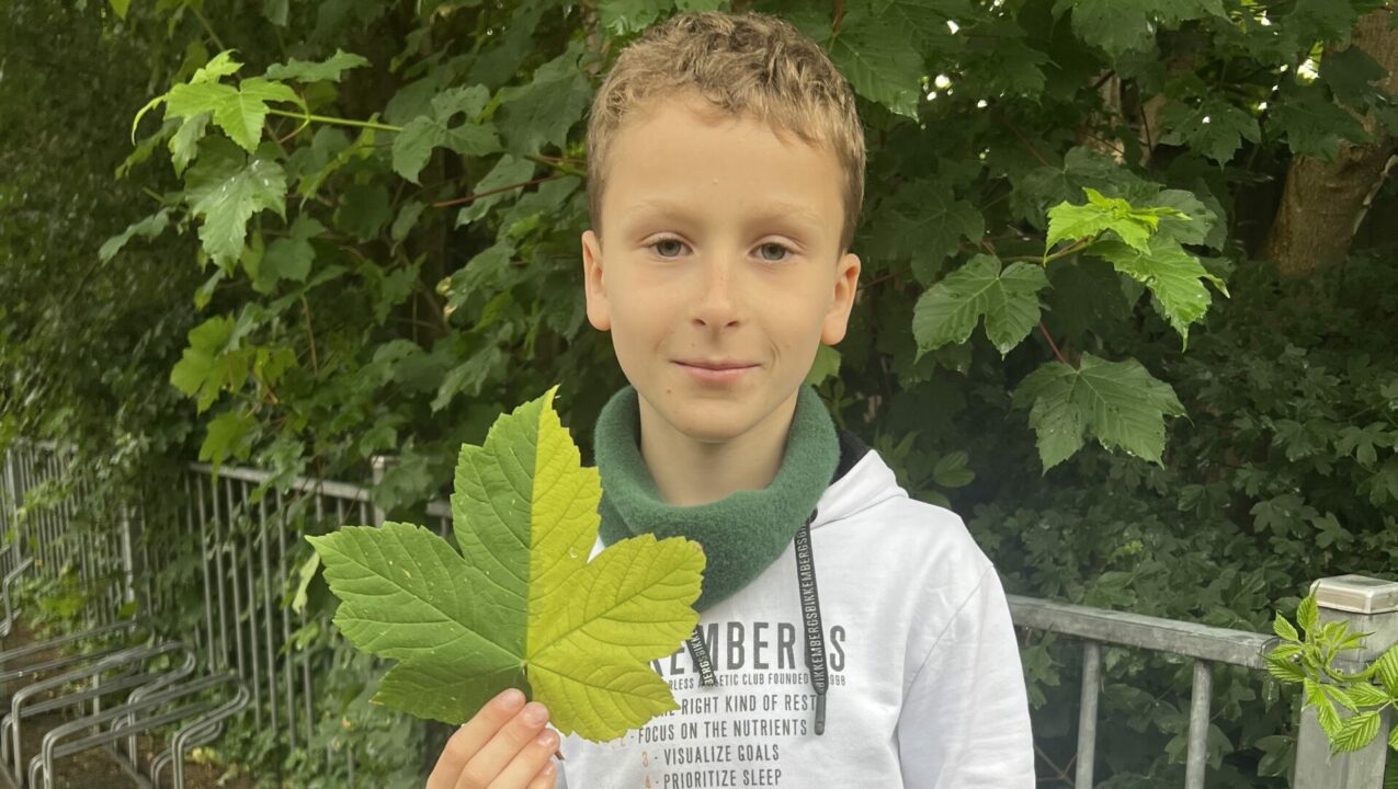 Opmerkelijke ontdekking tijdens schoolpauze in Ryptsjerk