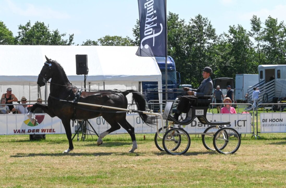 Paardensport en shows trekken bezoekers naar zonnig Concours Hippique Drogeham