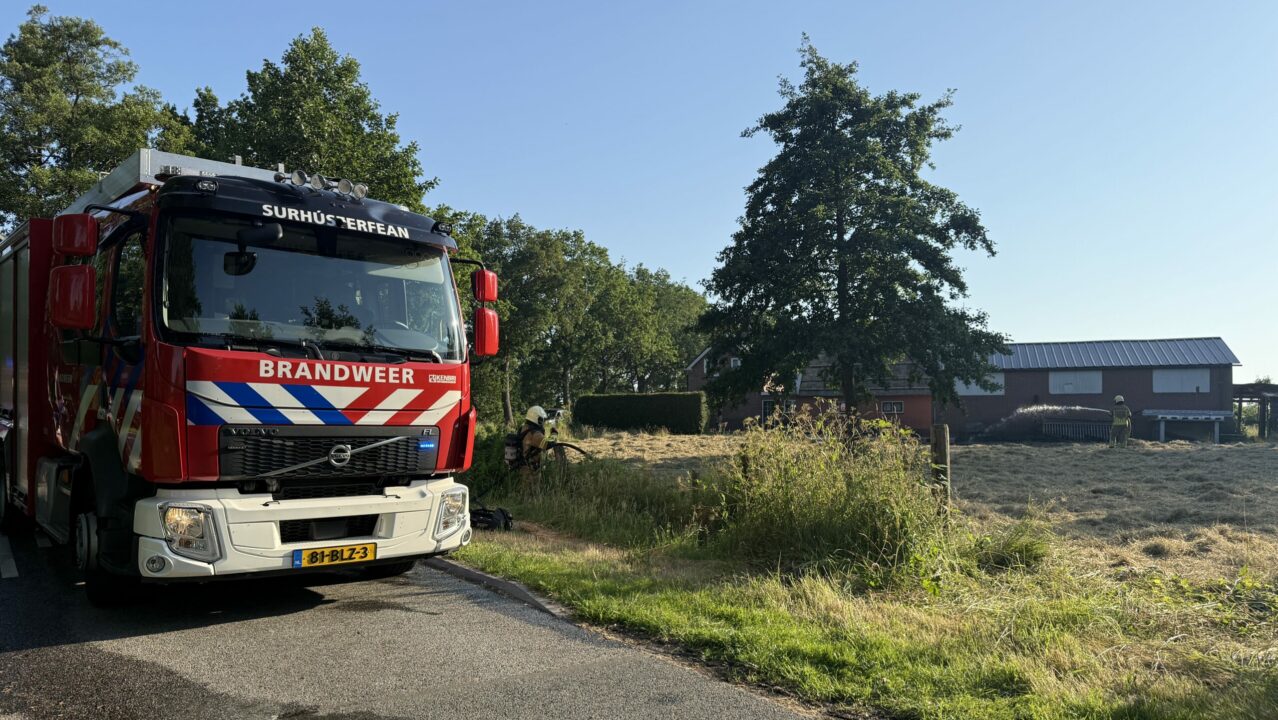 Brand in weiland in Surhuizum snel onder controle