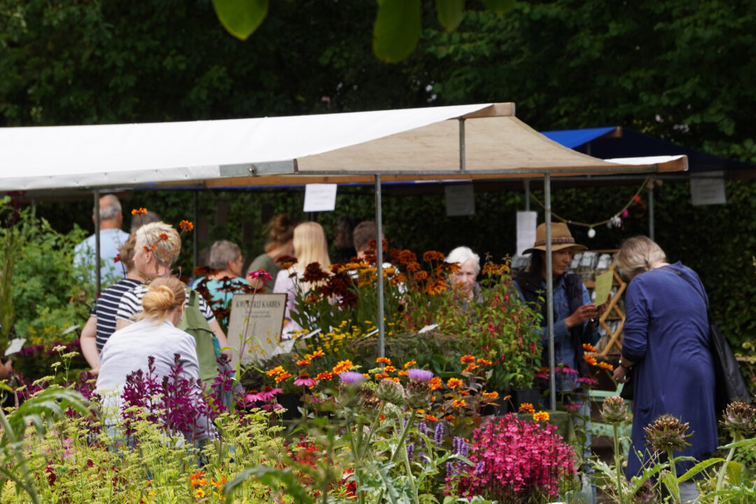 Natuurmarkt op De Kruidhof in Buitenpost