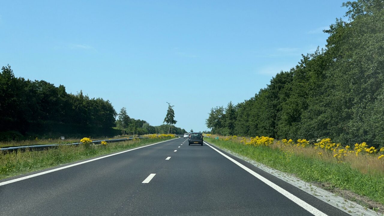 Noardeast-Fryslân wil met landbouw in gesprek over aanpak Jakobskruiskruid