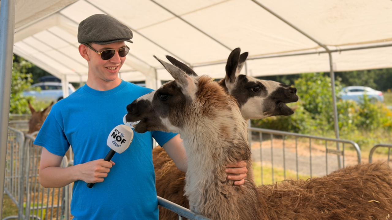 Moai Fuort 20: Knuffelen met lama Pietsje op de Landbouwshow in Drogeham