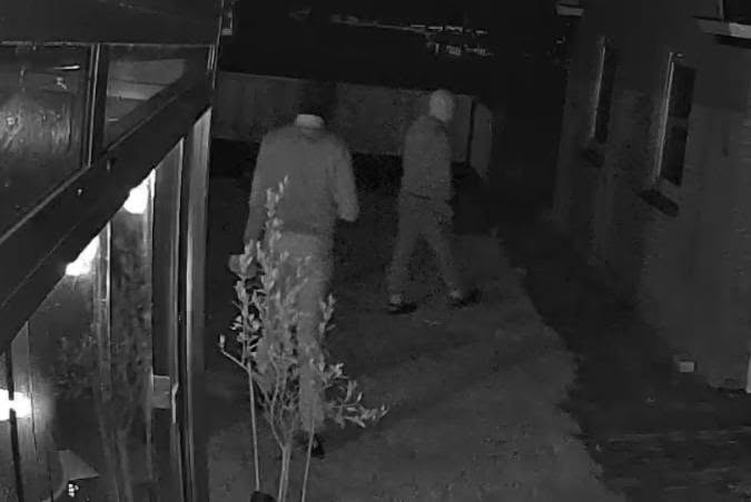 Nachtelijke struiners vastgelegd op camera in Kootstertille