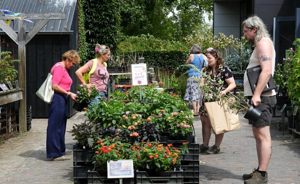 Vijverballen draaien voor een betere waterkwaliteit: 