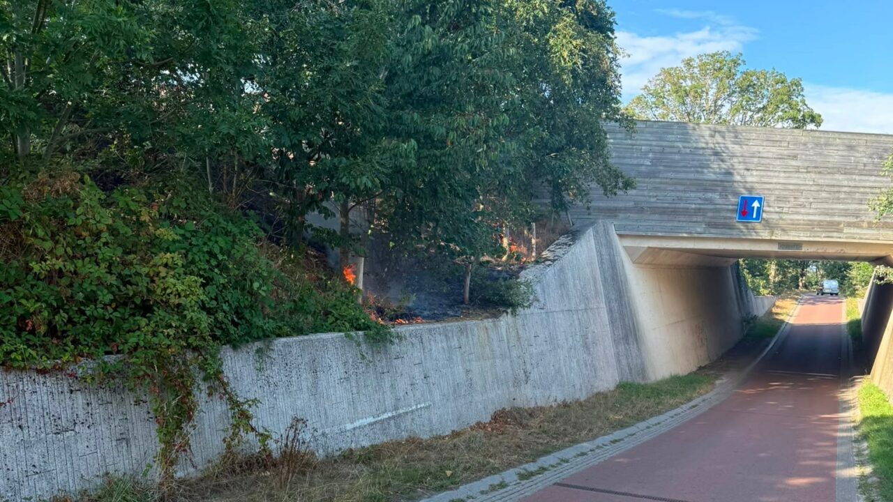 Bosschage in brand langs N355 bij Hurdegaryp