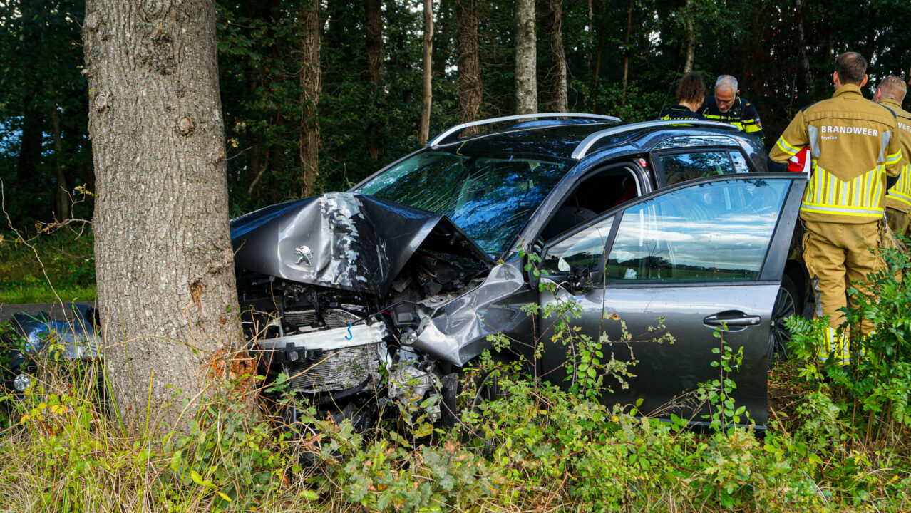 Automobiliste gewond bij botsing tegen boom langs Zomerweg Noardburgum