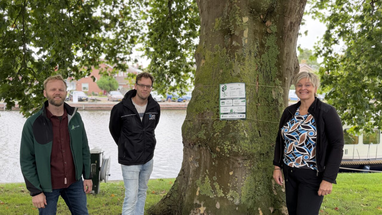 Bomen in Noardeast-Fryslân krijgen TreeTag: 