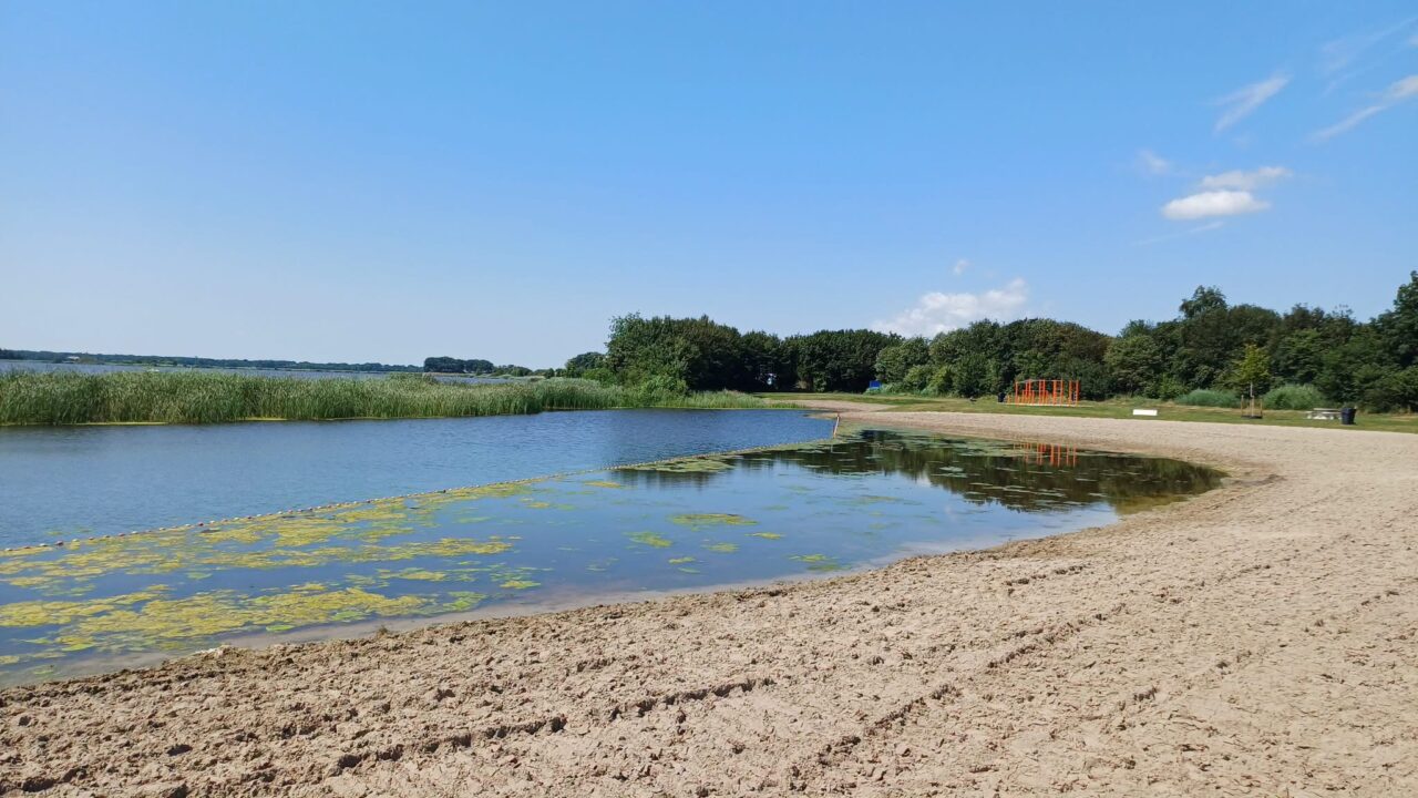 Waarschuwing voor blauwalg bij Eeltsjemar in Rinsumageast