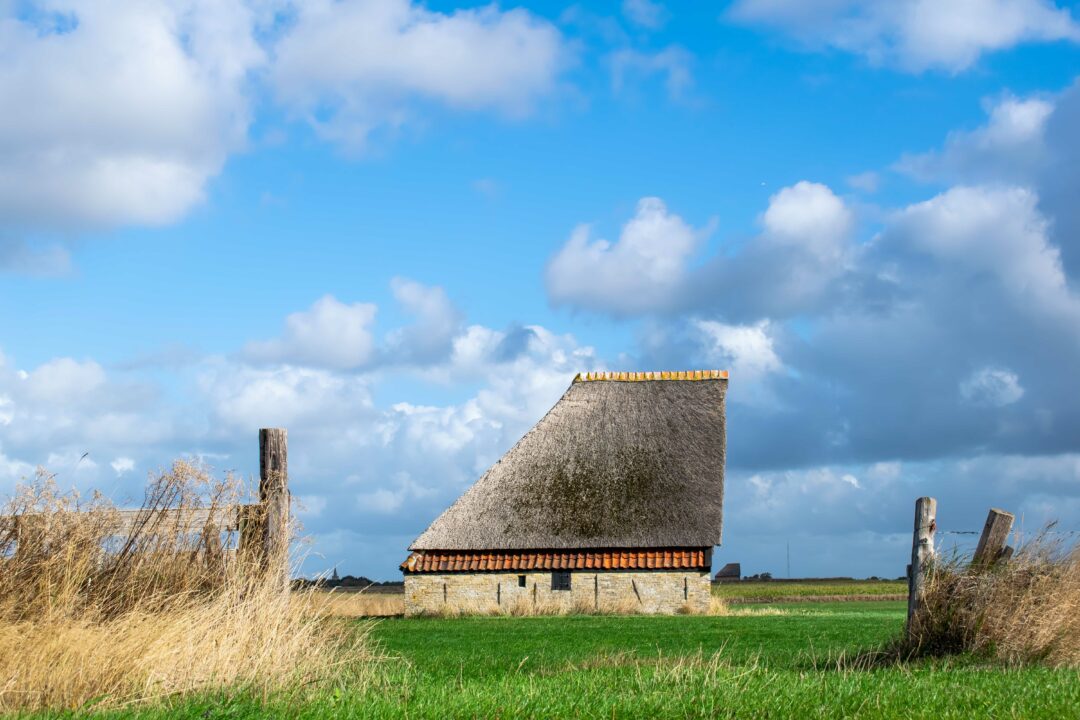 Gezellig uitstapje naar Texel voor leden Fotoclub “Skaed en Ljocht”