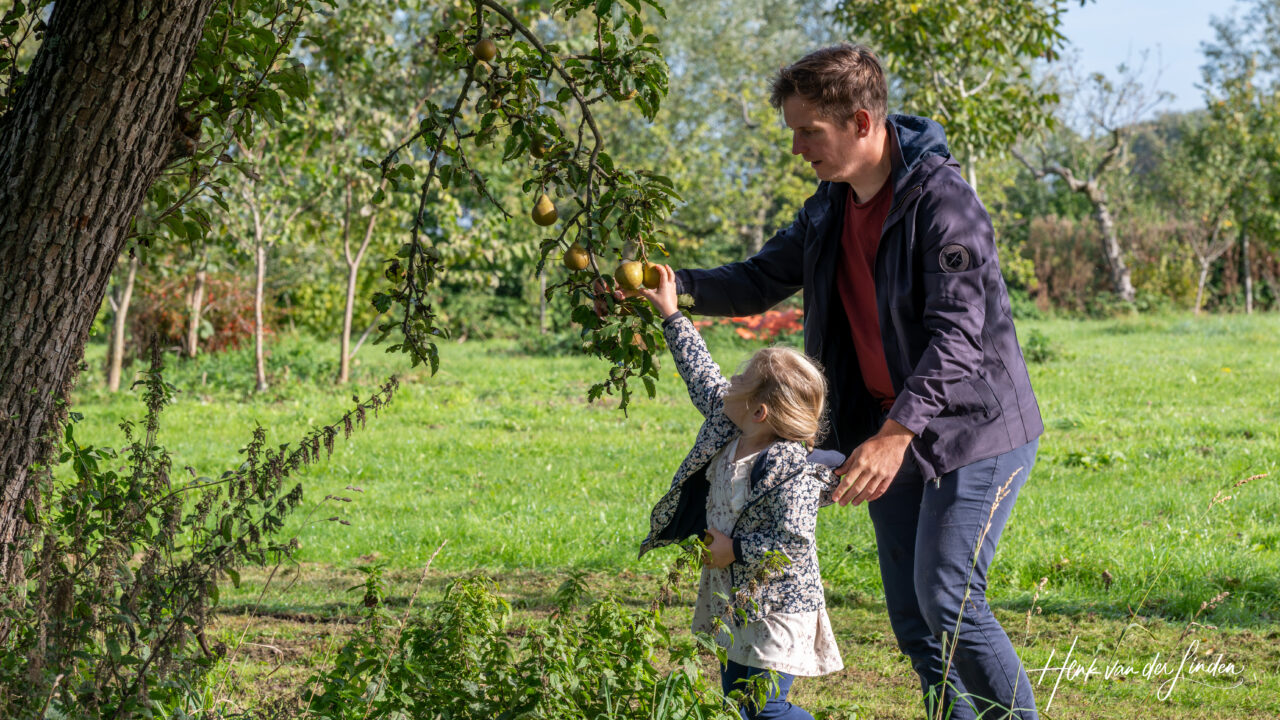 Perenplukdag op ’t Landje van Dokkum