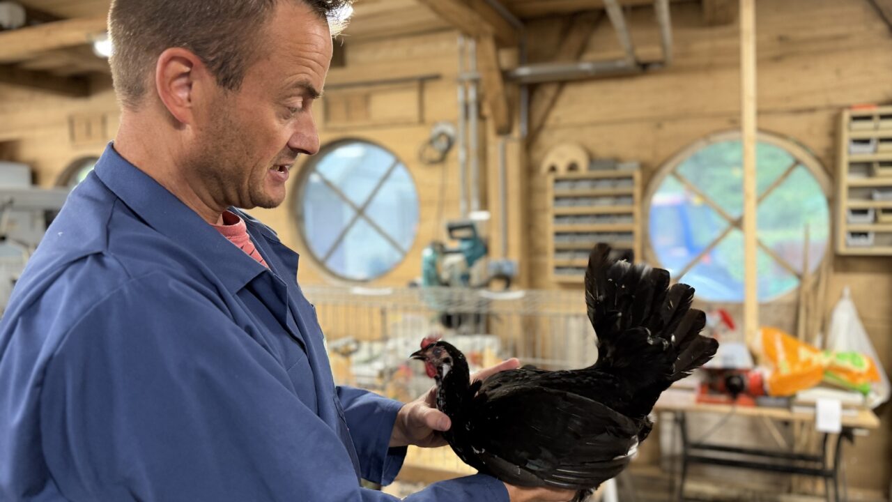 286 Fryske piken in een weekend voor de ’thuiskeuring’: “Hjir libje twa echte toppers”